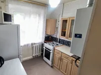 Миниатюра квартиры 2