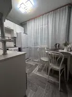 Миниатюра квартиры 11