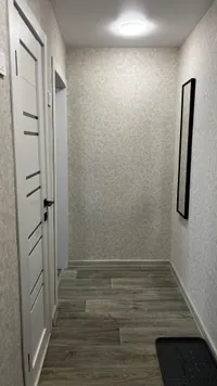 Миниатюра квартиры 3