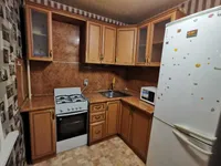 Миниатюра квартиры 2