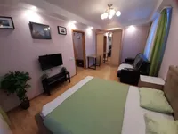 Миниатюра квартиры 12