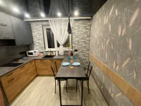 Миниатюра квартиры 12