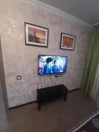 Миниатюра квартиры 12