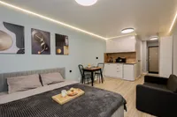 Миниатюра квартиры 9