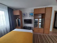 Миниатюра квартиры 8