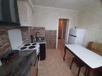 Миниатюра квартиры 11