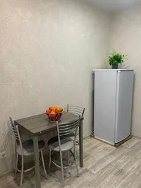 Миниатюра квартиры 2