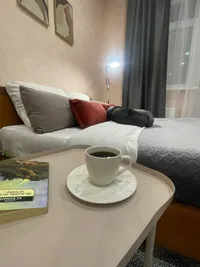 Миниатюра квартиры 12