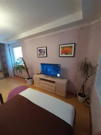 Миниатюра квартиры 8