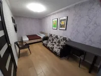 Миниатюра квартиры 8