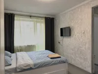 Миниатюра квартиры 1