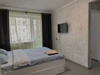 Миниатюра квартиры 13