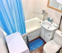 Миниатюра квартиры 17