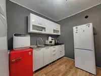 Миниатюра квартиры 3