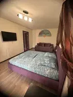 Миниатюра квартиры 12