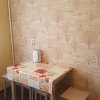 Миниатюра квартиры 4