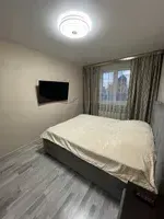 Миниатюра квартиры 3