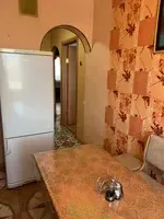 Миниатюра квартиры 16