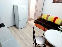 Миниатюра квартиры 17