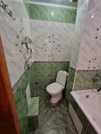 Миниатюра квартиры 10