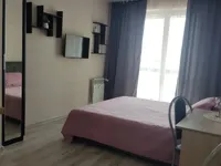 Миниатюра квартиры 3