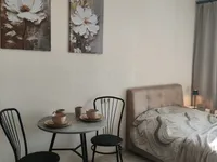 Миниатюра квартиры 9