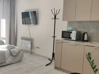 Миниатюра квартиры 10