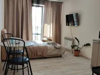 Миниатюра квартиры 19