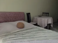 Миниатюра квартиры 15