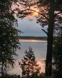 Миниатюра квартиры 24