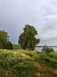 Миниатюра квартиры 25