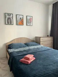 Миниатюра квартиры 11