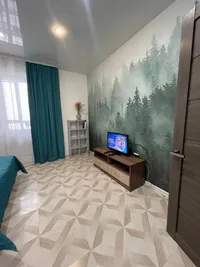 Миниатюра квартиры 19