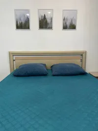 Миниатюра квартиры 24