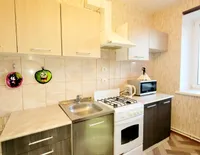 Миниатюра квартиры 13