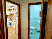 Миниатюра квартиры 9