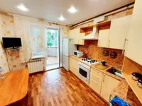 Миниатюра квартиры 11