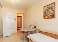 Миниатюра квартиры 15