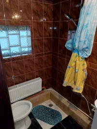 Миниатюра квартиры 9