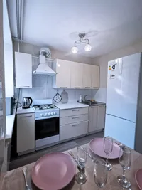 Миниатюра квартиры 19