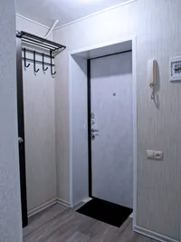 Миниатюра квартиры 24