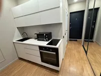 Миниатюра квартиры 2