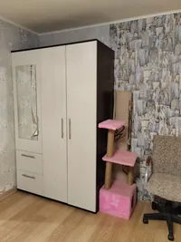 Миниатюра квартиры 3