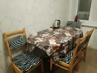 Миниатюра квартиры 5