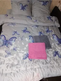 Миниатюра квартиры 1