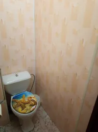 Миниатюра квартиры 11