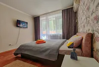 Миниатюра квартиры 4