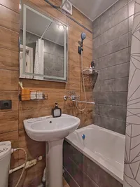 Миниатюра квартиры 21