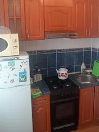 Миниатюра квартиры 8