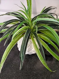 Миниатюра квартиры 25